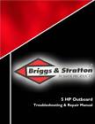275110 Briggs Stratton New 5-hp