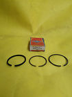 298175 Briggs Stratton And Piston Ring Set