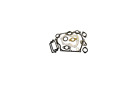 33235a Tecumseh Oem Engine Gasket