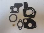 H125756 495606 Rotary Carburetor Overhaul Kit 024847848915