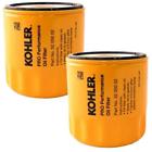 02-s1 52 050 02s Kohler Lawn Mower Replacement Parts Pack Engine Oil 704660029332