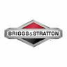 543477-3048-g1 Briggs Stratton Engine 024847118100