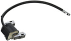 591459 Briggs Stratton Ignition Coil 797267309082