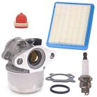 497347 6973782353210 Nimtek Carburetor With Air Filter Fit Briggs Stratton