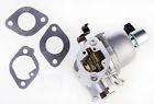 699807 Briggs Stratton Amp 024847069938