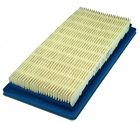 710266 Briggs Stratton And Flat 0024847854718
