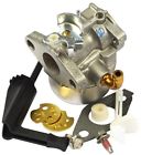 798653 Briggs Amp Stratton And 0024847965063