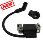 11-bs3010 799582 593872 Aftermarket New Ignition