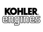 82 755 28-s Kohler Genuine Brush And Spring Kit