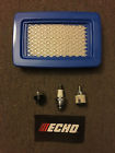 Pb-770t 90122y Echo Ngk Aftermarket Replacement Kit Oem New