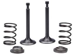 Dxpw4400 Bmp 340670670845 Intake Exhaust Valve Spring For Dewalt