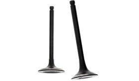 Apg3014 Bmp 777177617255 Intake Exhaust Valve For All Power Generator