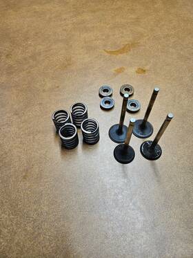 694865 Briggs And Stratton 793557 V-twin 793556 Intake Exhaust Valve Springs