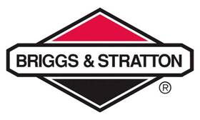 2272350307yp Briggs & Stratton Genuine And Piston Ring Set Oem Original Equipment