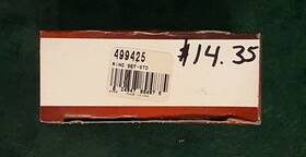 499425 Briggs & Stratton Oem And Piston Ring Set Standard - New Old Stock