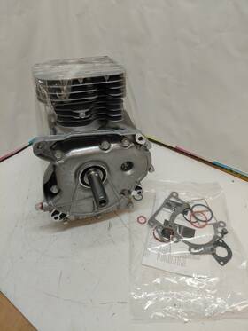 592059a Briggs & Stratton Oem Nos And Short Block