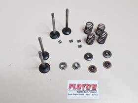 691794 Briggs & Stratton 691804 And Complete Valve Set 20hp Opposed