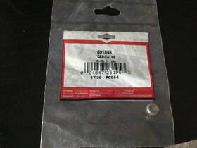 691843 Briggs & Stratton And Cap-valve Oem Genuine