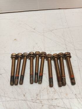 692125 Briggs & Stratton And Sump Cover Bolts