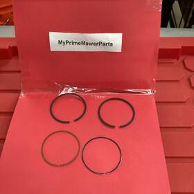 791969 Briggs & Stratton Genuine Oem And Std Ring Set
