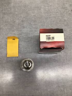 825064 Briggs & Stratton Oem And Thermostat Part #