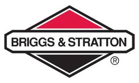 825430 Briggs & Stratton Genuine And Fuel Pump Injection Oem Original Equipment