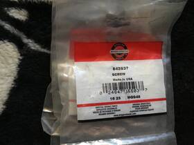 842537 Briggs & Stratton And Screw