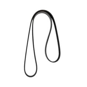 4081265 Continental Elite Poly-v Belt