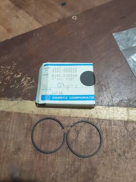 A101000140 Echo 2 - Original Equipment Ring Piston