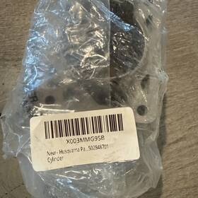 Husqvarna B013wpqnsc Part Number 502848701 Cylinder