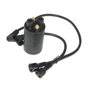 Kt-18 Jdllong 013722018796 Ignition Coil Kit 52 755 48-s Fits For Kohler Kt17 Kt18 Kt19 Kt-17 Kt-1