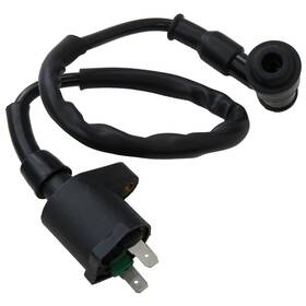 Jem&jules 500652700714 Ignition Coil For Kawasaki Klx 110 2002 2003 2004 2005 2006 2007 2008 2009 20