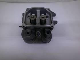 197-s Kohler Cylinder Head. 24 318