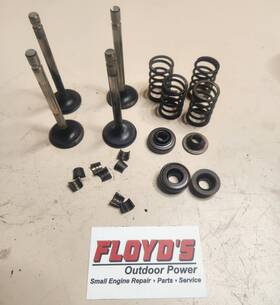 52-017-07-s Kohler M20 Mv20 Valve Set Intake And Exhaust 52 017 07-s 82 755 12-s Springs Keepe