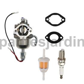 825569 Partiesjardin 825656 Carburetor For Diahatsu 950 589447 580447 433447 Engine Replace #