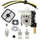 Srm210 Rb-k75 Unbranded Carburetor Fuel Maintenance