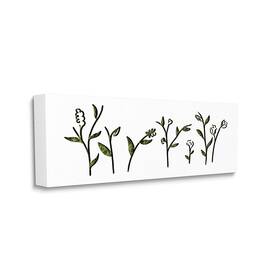 Stupell Industries 196216054644 Spring Bloom Abstract Florals Over Grass Pattern Designed By Daphne Polselli