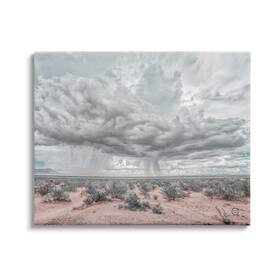 Stupell Industries 196216343496 Rain Cloud Desert Landscape Outdoor Brush Storm Weather Designed By Nathan L