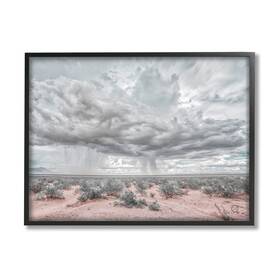 Stupell Industries 196216343533 Rain Cloud Desert Landscape Outdoor Brush Storm Weather Designed By Nathan L