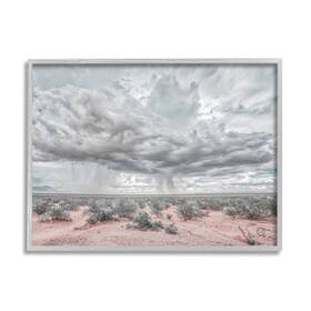 Stupell Industries 196216343540 Rain Cloud Desert Landscape Outdoor Brush Storm Weather Designed By Nathan L