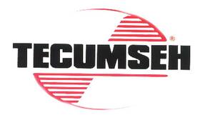 410284 Tecumseh Fuel Tank