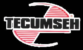 651103 Tecumseh Screw