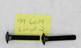 99-6019 Toro Carr Screw Genuine Original Oem Lot Of 2