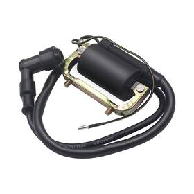 Ct70h Triumilynn 799577741866 Ct70 Ignition Coil Replacement For Honda Ct 70 Ko-81ft Mini Trail B