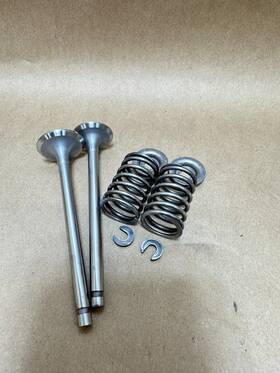 207-33501-13 Wisconsin 206-33601-03 Robin Valves 207-33401-13 And Valve Springs