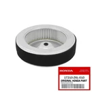 Genuine Oem Honda 17210-Z6L-010 Air Cleaner. Fixed Price $30.99.