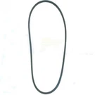 V Belt Fits Simplicity Replaces LAB40-0619. Fixed Price $12.99.