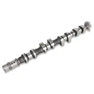 Zayody Engine Exhaust Camshaft For Chevrolet Cruze 1.8L 2011-2015 Replacement. Fixed Price $100.65.