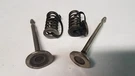 Tecumseh Valve & Spring Kit 27878A 27880A 8HP 9HP 10HP Genuine Oem. Fixed Price $22.97.