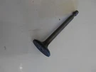Tecumseh Model OHH55 69021C Intake Valve 29315C. Fixed Price $19.95.